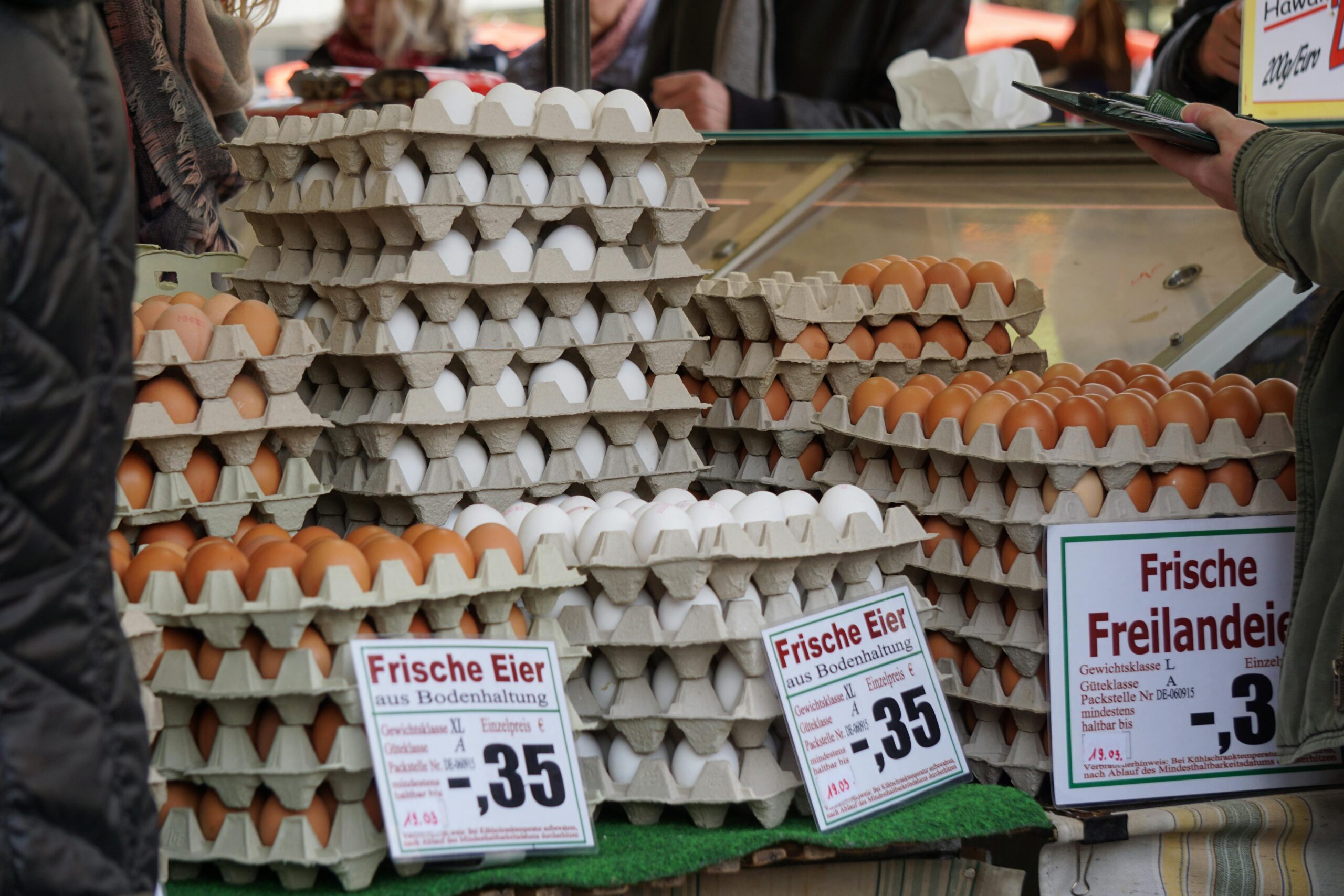 eier test wasser